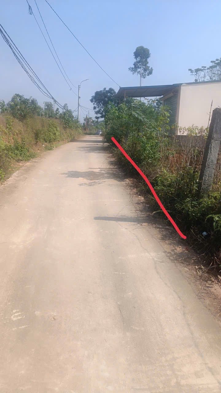 Đất thổ cư 100m² tại Xuân Hòa, Lập Thạch, Vĩnh Phúc - Chỉ 300 triệu!