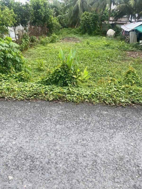 Đất nền Trà Côn Trà Ôn 130m² giá 275 triệu - Sổ hồng riêng, pháp lý rõ ràng!