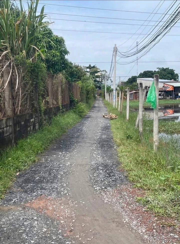 Đất thổ cư 175m² xã Hòa Khánh, giá 880 triệu - Đầu tư sinh lời ngay!