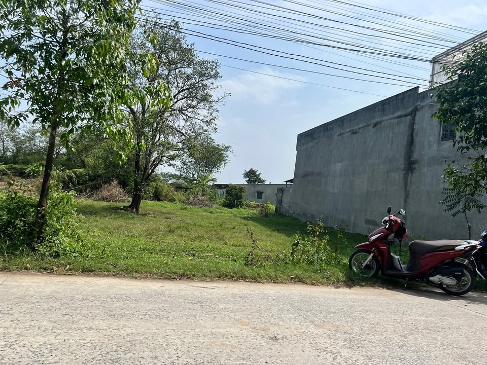 Đất nền Đức Hòa Thượng 1395m² giá 4.65 tỷ - Sổ hồng riêng, đầu tư sinh lời!