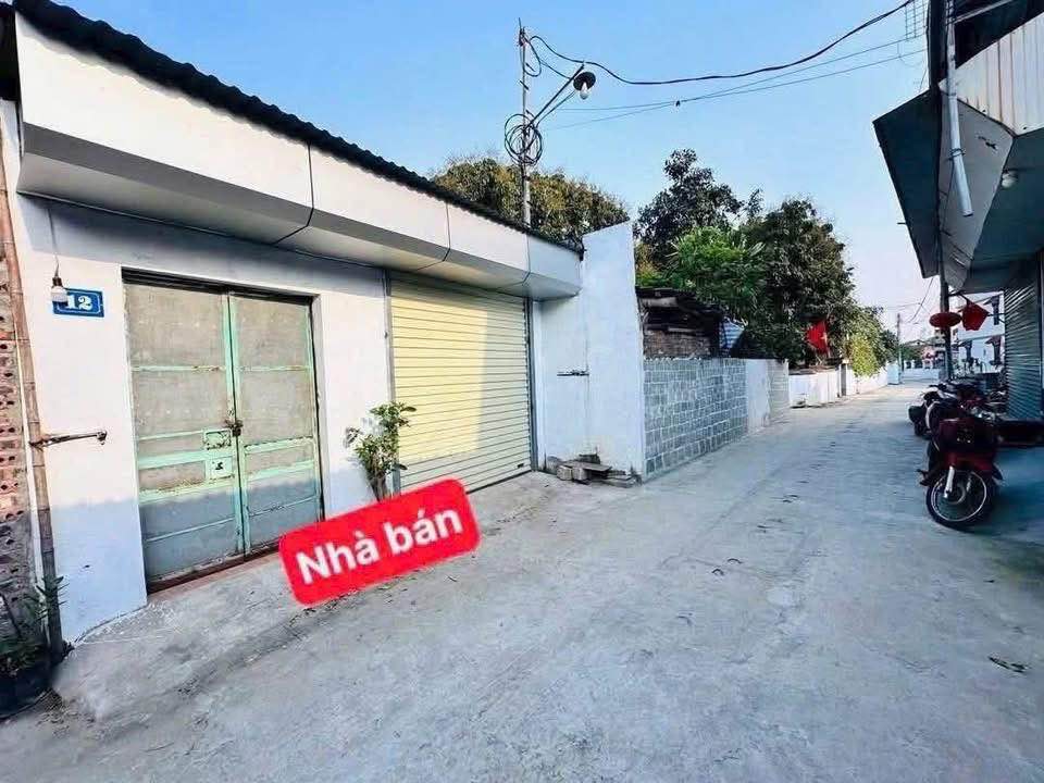 Đất thổ cư Nhân Mỹ, Thanh Vân, Tam Dương 100m² chỉ 1.5 tỷ - Tiềm năng sinh lời cao!