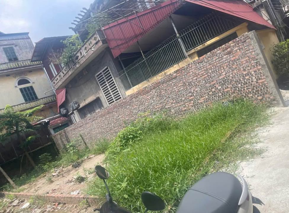 Đất nền khu phố Thanh Nhàn, phường Đông Kị, 87m² giá 1 tỷ - Cơ hội đầu tư hấp dẫn!