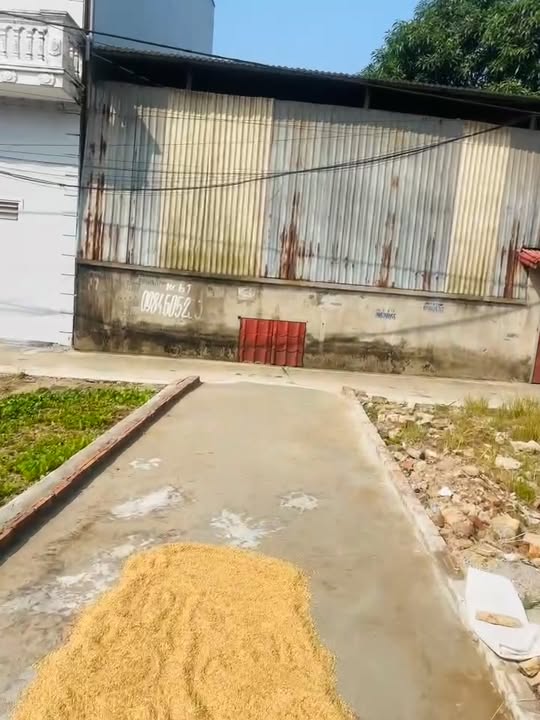 Đất nền Hương Mạc, Từ Sơn 47m² giá 1.6 tỷ - Mặt tiền rộng, ô tô đỗ tận nơi!