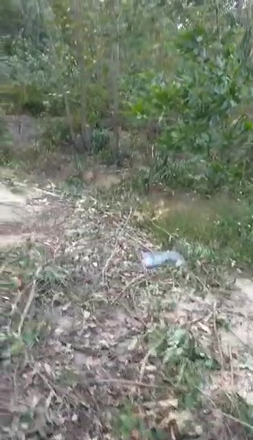 Đất nền 4000m² tại Trung Mỹ, Bình Xuyên - Cơ hội đầu tư tuyệt vời!