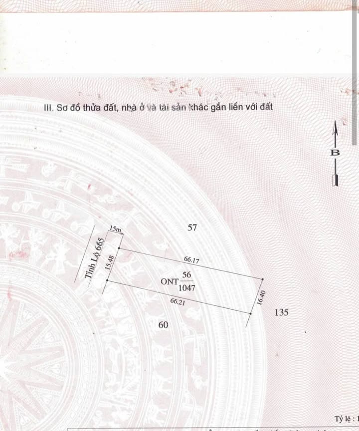 Đất nền Chư Prông 990m² giá chỉ 1.02 tỷ - Đầu tư sinh lời ngay!