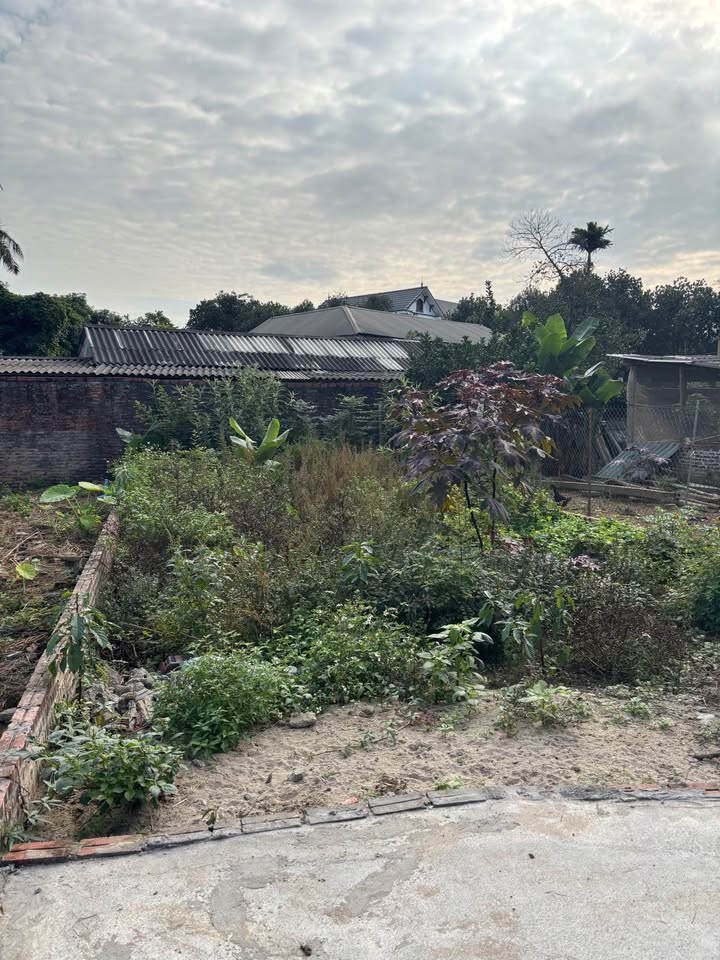 Đất Ba Trại - 650m² giá 2 tỷ - Sẵn sàng xây dựng ngay!