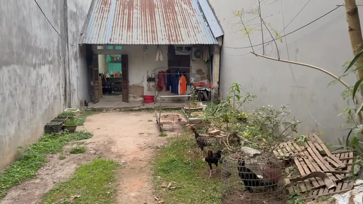 Đất thổ cư Tân Long 90m² giá chỉ 2xx triệu - Mặt tiền gần 6m, gần chợ!