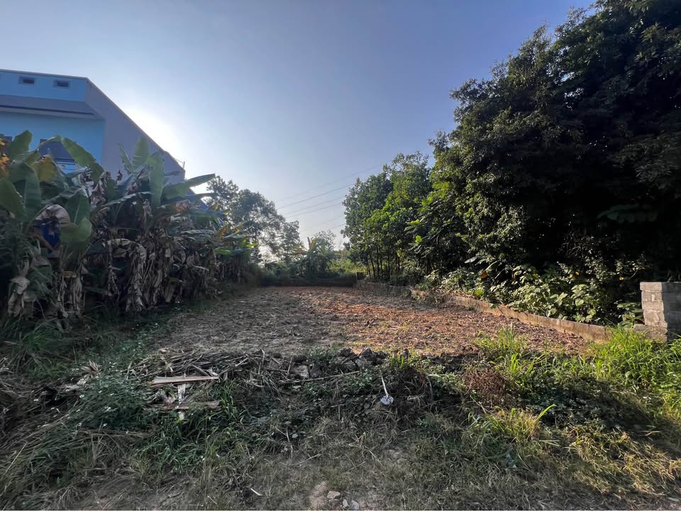 Đất biệt thự Phú Xá 308m² giá 2 tỷ - Sổ hồng chính chủ, đường ô tô vào tận nơi!