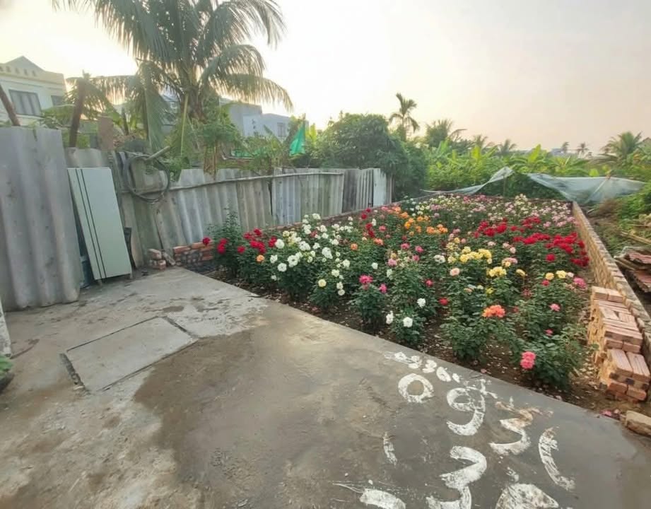 Đất nền 54m² ngõ 76 Tràng Cát, Hải An chỉ 1.28 tỷ - Cơ hội đầu tư tốt!