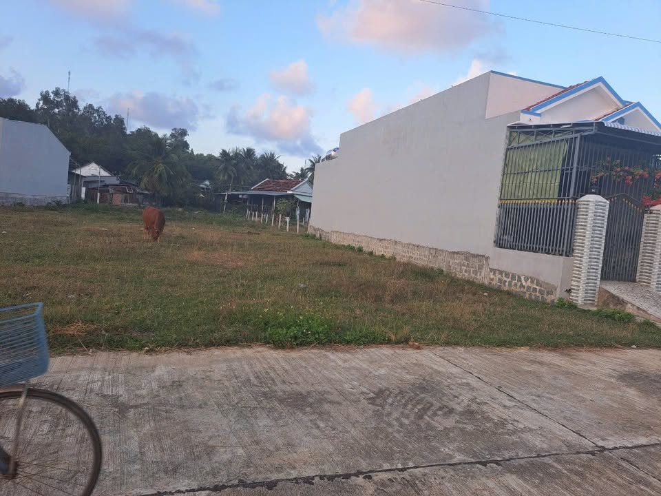 Đất nền KDC Phương Lưu Xuân Thọ 1 137m² giá 600 triệu - Đầu tư sinh lời ngay!