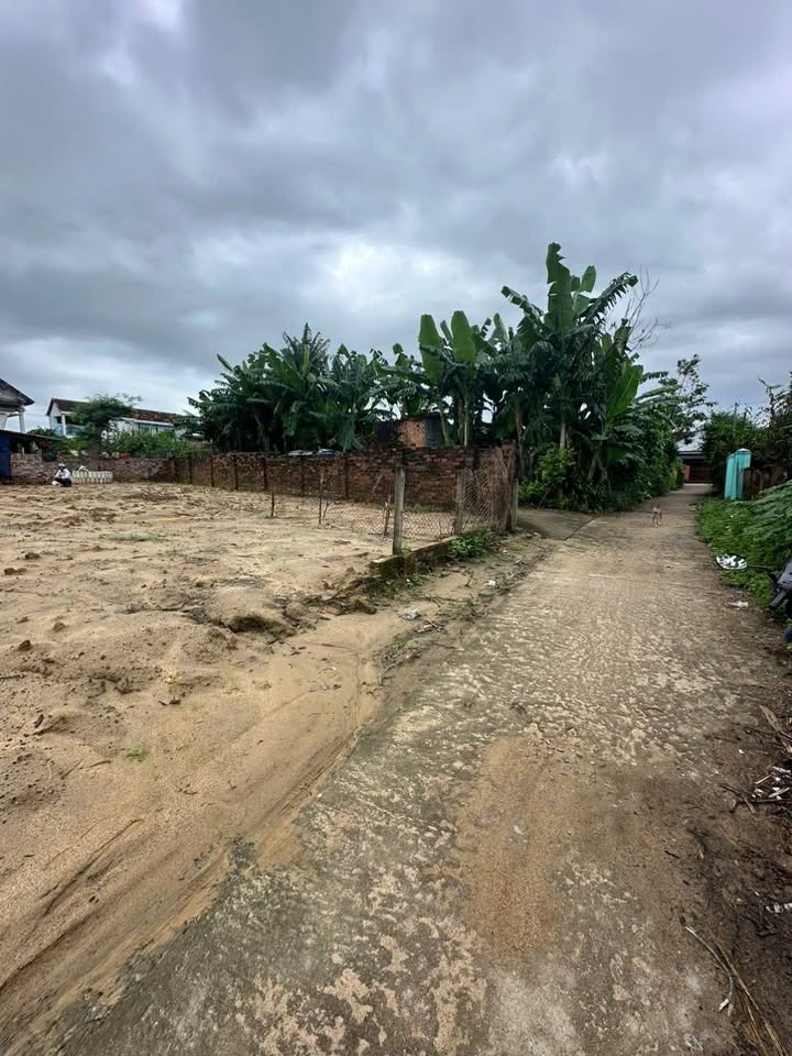 Đất nền 100m² tại Cù Lâm, Nhơn Lộc giá chỉ từ 3xx triệu - Đầu tư sinh lời!