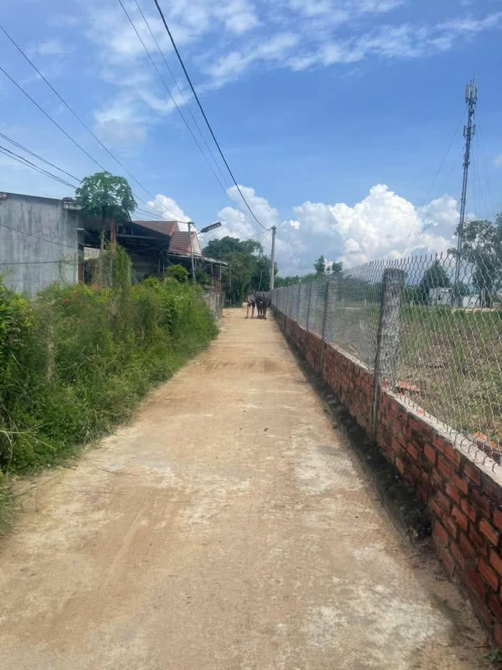 Đất nền Phước Hiệp, Tuy Phước 100m² giá chỉ 350 triệu - Đầu tư sinh lời tốt!