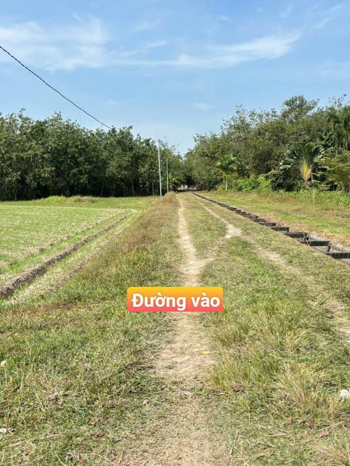 Đất nền An Tịnh Trảng Bàng 110238m² giá 6.8 tỷ - Cơ hội đầu tư tuyệt vời!