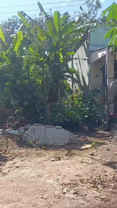 Đất nền Tân Hiệp Tân Uyên 2080m² giá 600 triệu - Cơ hội đầu tư tuyệt vời!