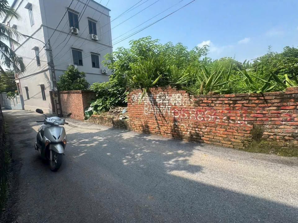 Đất nền TDP Phúc Hạ, Song Mai, Bắc Giang 206m² giá chỉ 2 tỷ - Đầu tư sinh lời ngay!