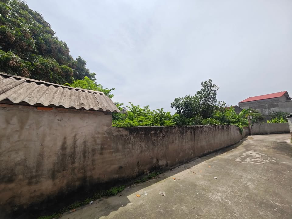 Lô đất 300m² phường Cảnh Thụy, Bắc Giang giá 2 tỷ - Cần bán gấp chính chủ!