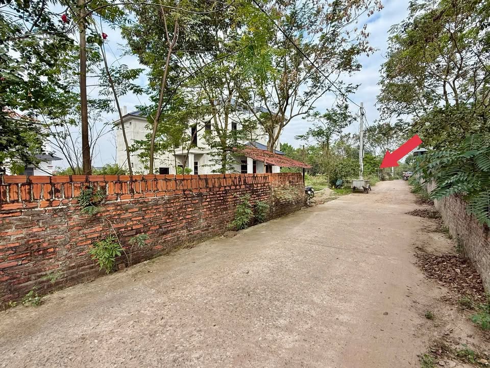 Đất nền xã Hoàng Hoa, Tam Dương, Vĩnh Phúc 549m² – Giá chỉ 1 tỷ, sổ đỏ chính chủ!
