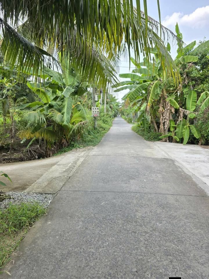 Đất nền Hữu Định Châu Thành 629.6m² giá 1.5 tỷ - Mặt tiền hẻm xe tải thông thoáng!