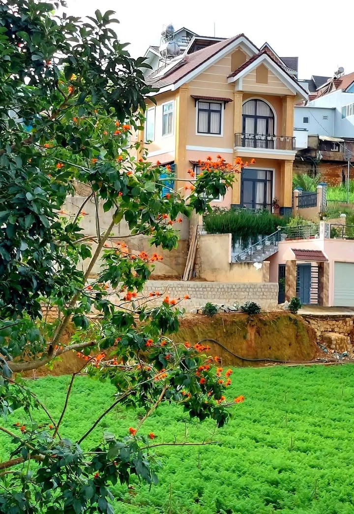 Nhà nguyên căn cho thuê tại Thôn Lộc Quý, Đà Lạt 4PN giá chỉ 10 triệu - View săn mây tuyệt đẹp!