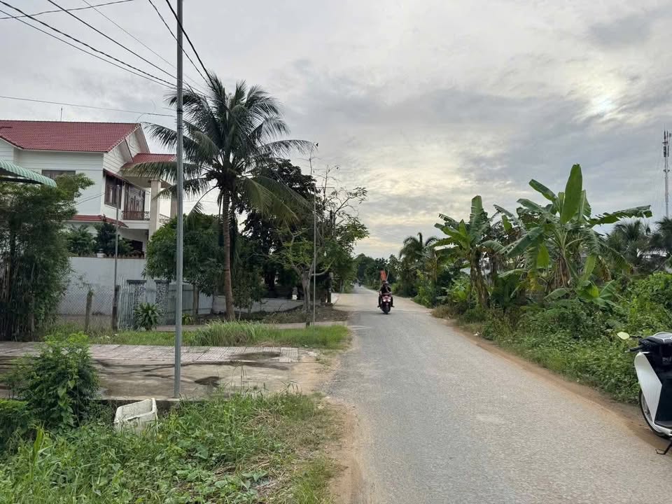 Đất nền 133m² mặt tiền đường Chí Sinh, Cần Thơ - Giá chỉ 1.75 tỷ, thương lượng chính chủ!