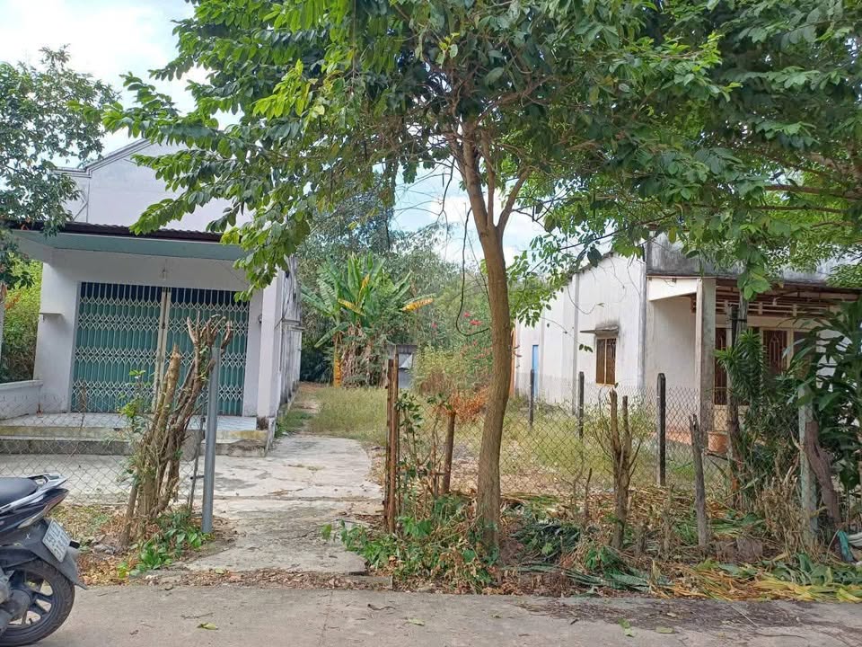 Đất nền Tam Lập, Phú Giáo 350m² giá 2 tỷ - Đầu tư sinh lời cho nhà trọ!