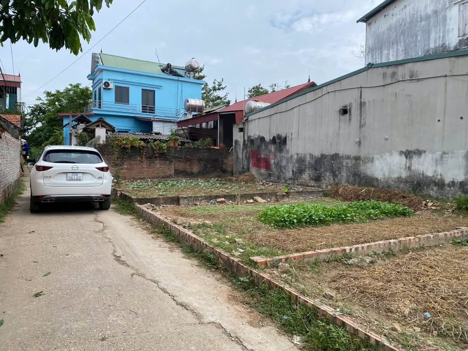 Đất thổ cư Hiền Lương, Sóc Sơn 41.5m² giá 1 tỷ - Sổ hồng chính chủ!