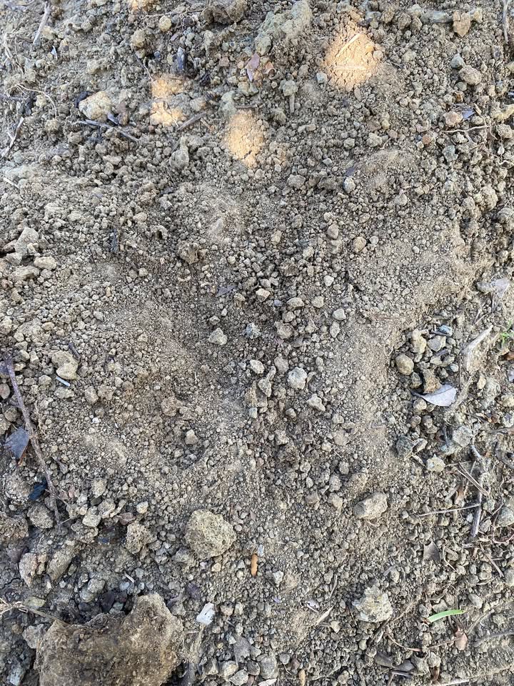 Đất nền 5 sào xã Ia Le, huyện Chư Pưh - Giá chỉ 195 triệu - Đầu tư sinh lời ngay!