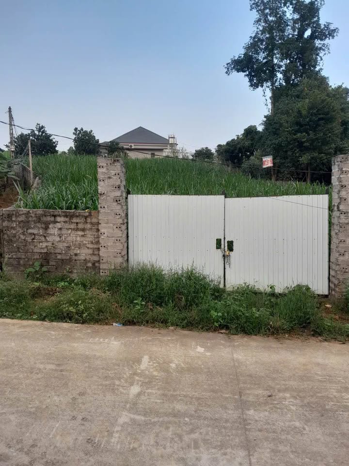 Đất thổ cư 600m² thôn Rùa, Vân Hòa, Ba Vì - Giá 6 tỷ, thích hợp xây nhà vườn!