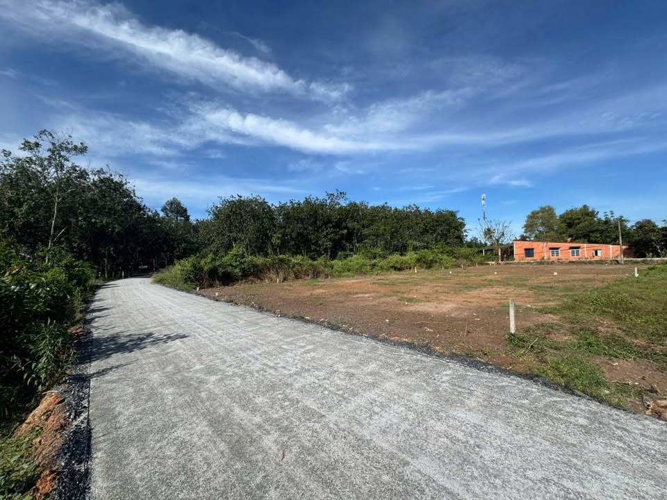 Đất thổ cư 125m² Phước Thạnh, Gò Dầu giá 450 triệu - Đầu tư sinh lời ngay!