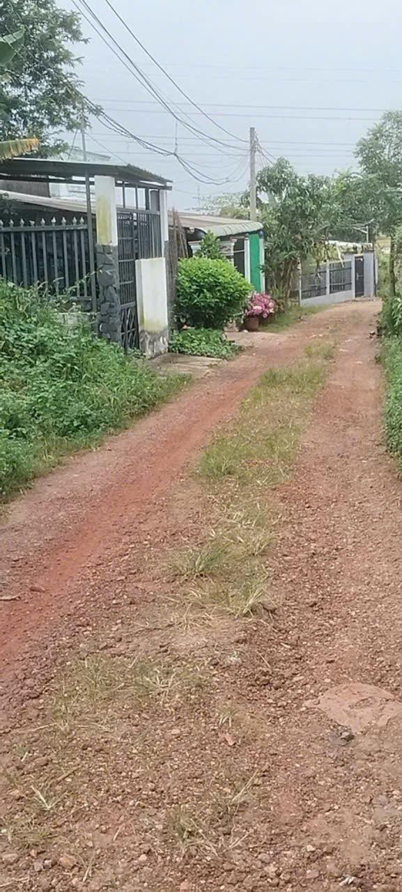 Lô Đất Phước Hải, Thái Hòa, Tân Uyên 144m² giá 1.6 tỷ - Đầu tư sinh lời hấp dẫn!