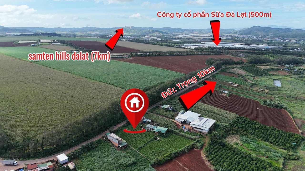 Đất thổ cư Tu Tra Đơn Dương 732m² giá 3.875 tỷ - Cơ hội đầu tư tuyệt vời!