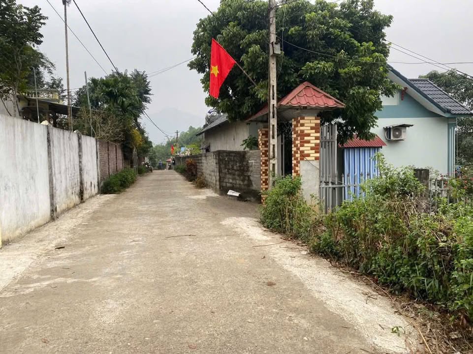 Đất nền chính chủ khu phố 10, thị trấn Tân Phú, 108m² - Sổ hồng sẵn, vị trí đẹp!