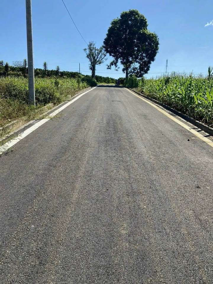 Đất thổ cư Lộc An 120m² giá 400 triệu - View núi đẹp thoáng đãng!