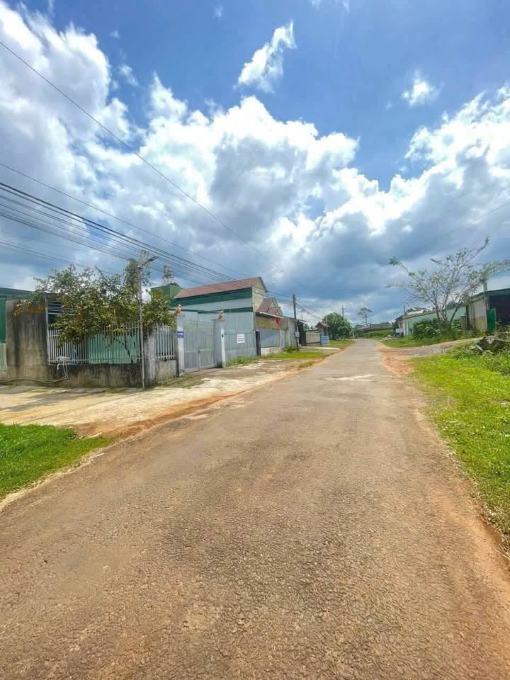 Bán nhà mặt tiền Trần Tế Xương, Bảo Lộc 1000m² - Đầu tư sinh lời, vị trí đắc địa!