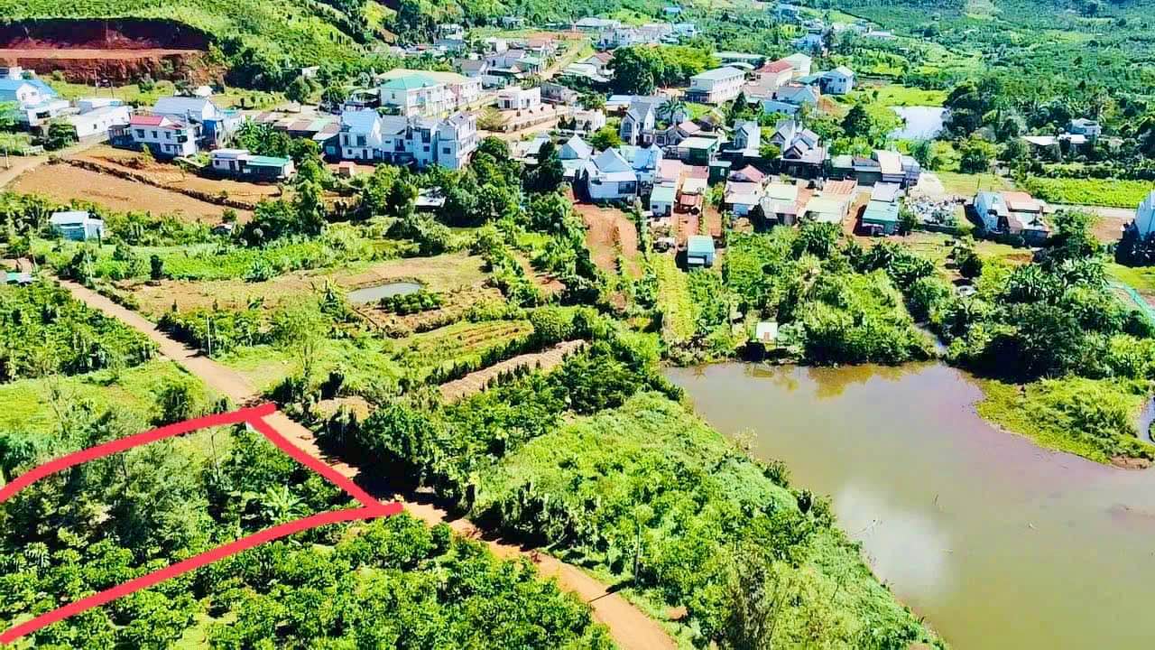 Đất thổ cư thôn 2 Lộc Tân - Bảo Lộc 1962m² giá 1.7 tỷ - Tiềm năng phát triển mạnh mẽ!