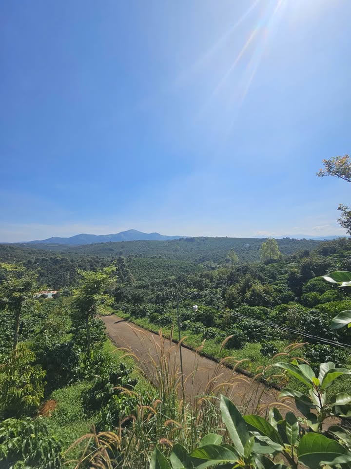 Đất nền 1ha1 thôn 11 Lộc An 7.5 tỷ - Sổ đỏ chính chủ, ôm 2 mặt đường nhựa!