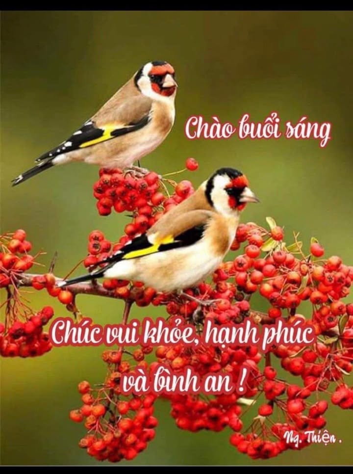 Đất nền Hóc Môn 120m² giá 3.39 tỷ - Khu vực đông dân, tiện ích đầy đủ!