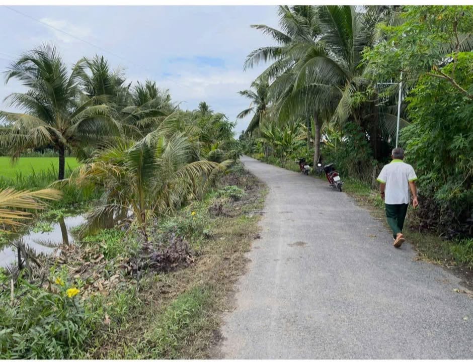 Đất thổ cư 1.500m² tại Trung Ngãi, Vũng Liêm - Giá chỉ 600 triệu!