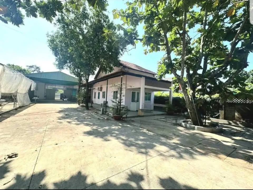 Cho thuê kho xưởng và nhà ở mặt tiền Bùi Thị Điệt, Củ Chi - Giá chỉ 12 triệu/tháng!