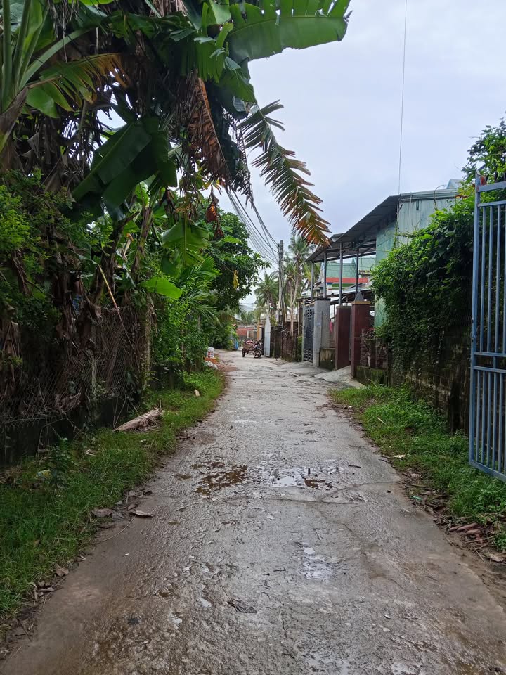 Đất thổ cư Hoài Nhơn Đông 196m² giá chỉ 500 triệu - Đường ô tô vào tận nơi!