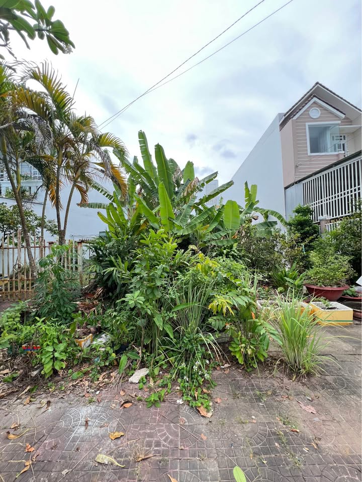 Đất nền mặt tiền Châu Văn Liêm 117m² giá 2 tỷ - Cơ hội đầu tư tuyệt vời!