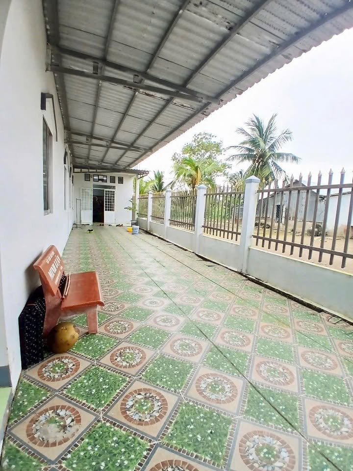 Farm Cà Mau 1572m² giá 1.57 tỷ - Nhà vườn đẹp gần chợ ô rô