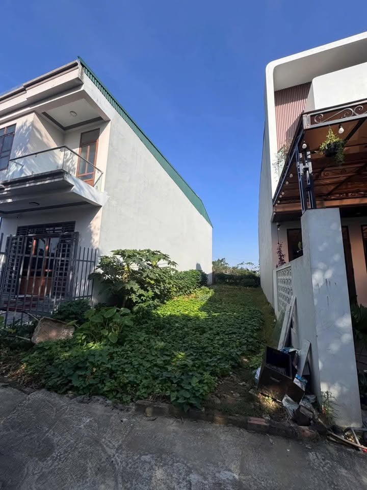 Đất nền Dữu Lâu 134m² giá 2 tỷ - Gần trường và tiện ích