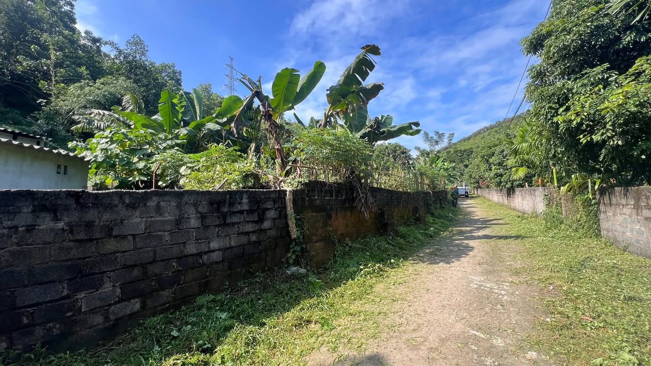 Đất Yên Mông 1,6ha chỉ 3 tỷ - Mặt tiền rộng, thu hoạch ngay!