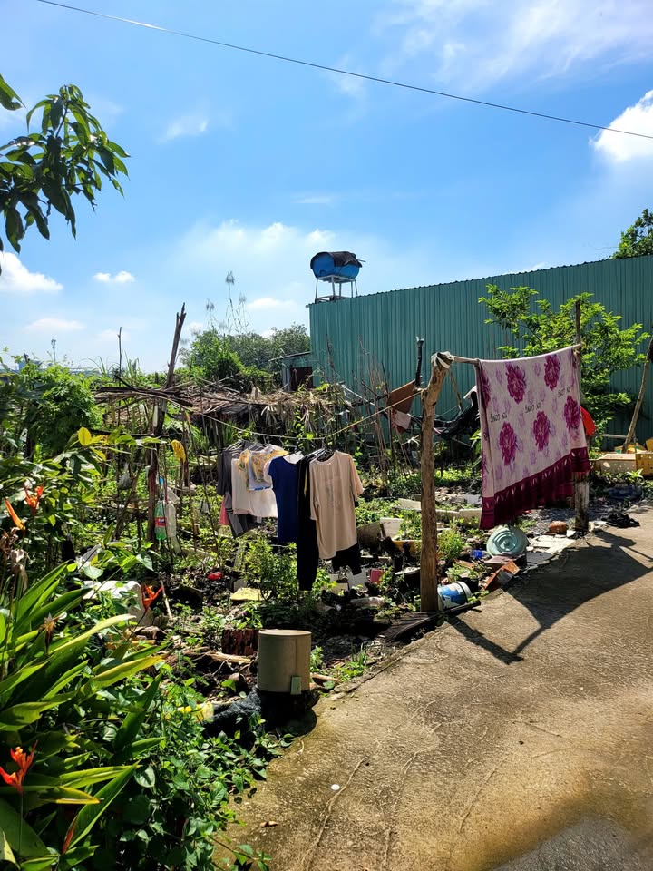 Đất nền ấp 6, xã Bình Mỹ, Củ Chi 251.8m² giá 3 tỷ - Tiềm năng nghỉ dưỡng lý tưởng!