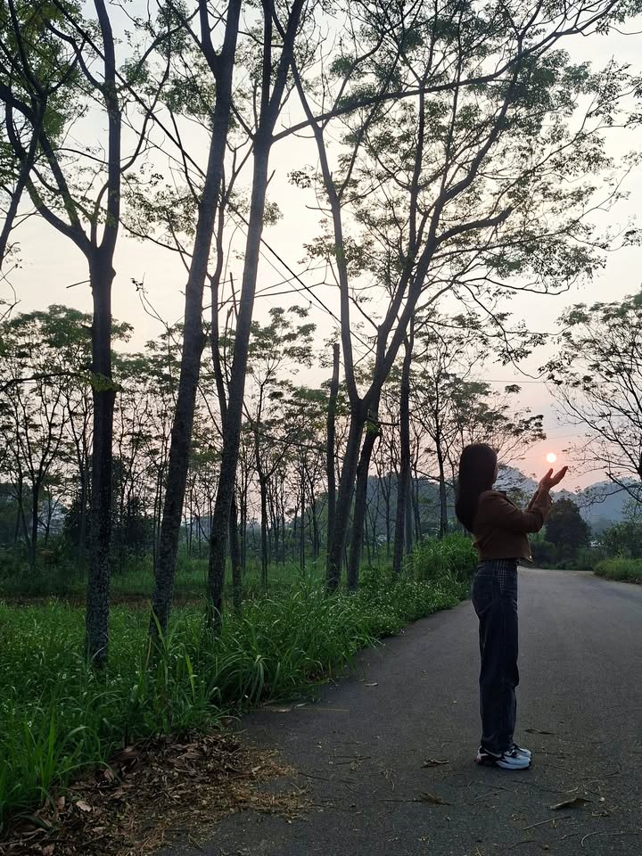 Đất phân lô Trung Sơn, Tam Điệp 100m² giá 1.2 tỷ - Pháp lý rõ ràng, tiện ích đầy đủ!