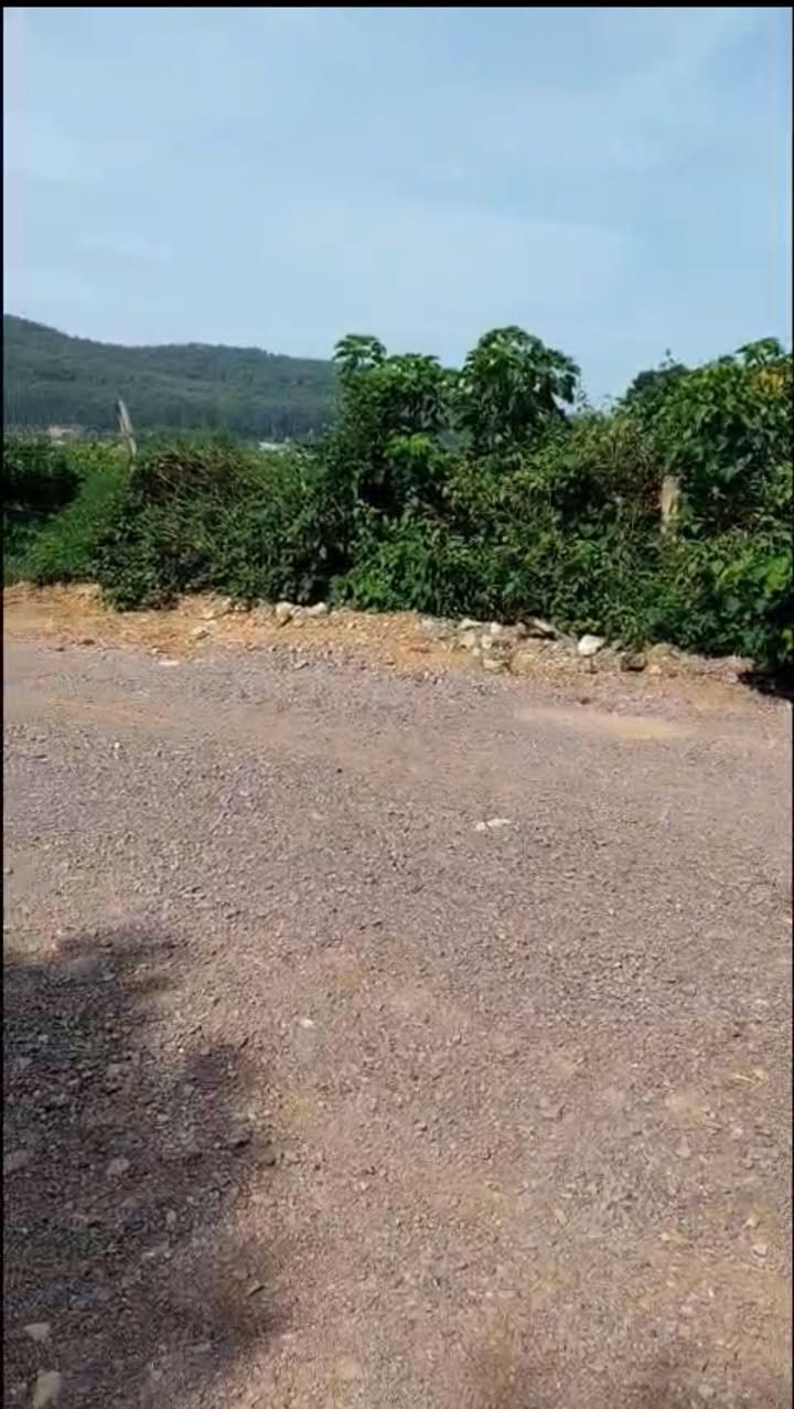 Đất nền thổ cư xã Phú Long, Nho Quan, Ninh Bình 950m² - Đường ô tô tránh thoải mái!