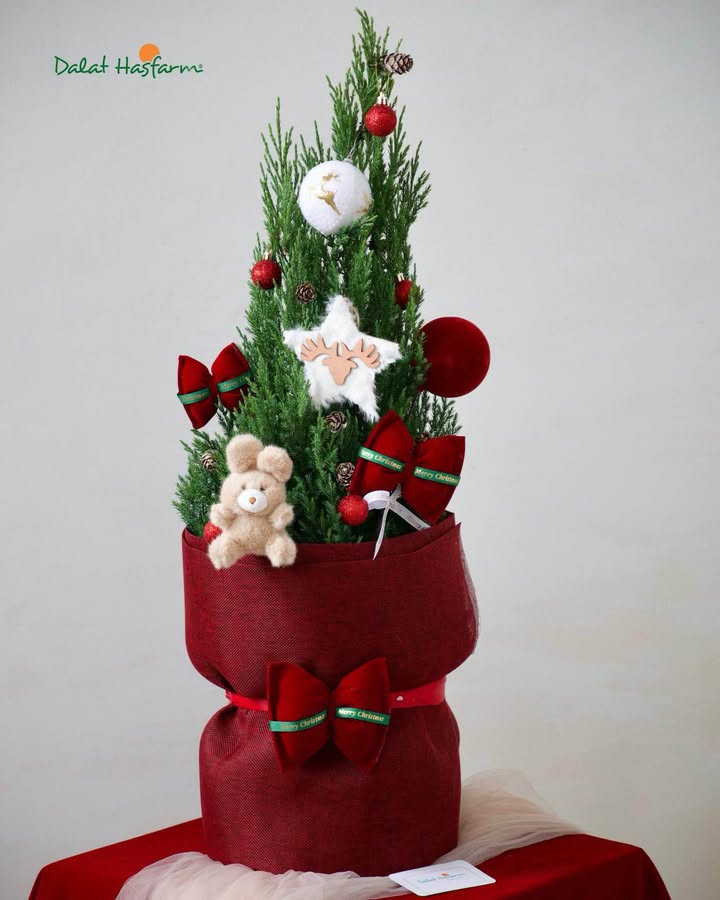 Nhà 3 tầng mặt tiền đường Núi Thành, Đà Nẵng - Kinh doanh sầm uất, ưu tiên KD sạch!