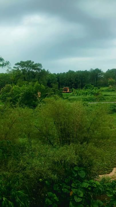 Nhà mới xây K. 69 Lê Ngô Cát, TP. Huế 103m² giá 3.5 tỷ - Đầu tư sinh lời!