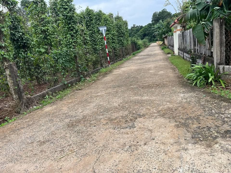 Đất nông nghiệp BHK Hiền Thành, xã Cửa Tùng 1500m² giá 200 triệu - Cơ hội đầu tư hiếm có!